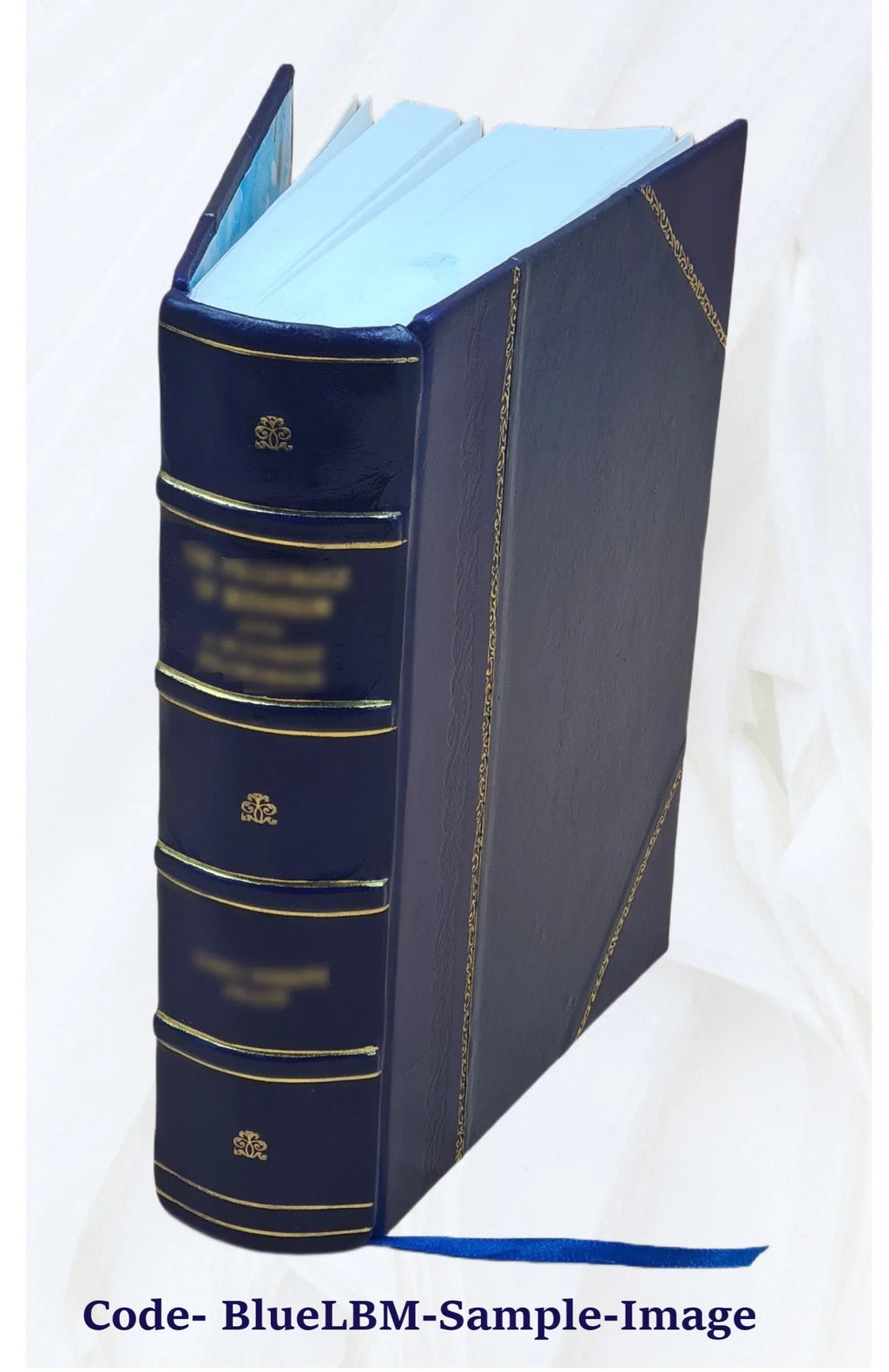 Volume v.4 appx.1 pt.2 1829 [Leather Bound]. I-[V]. Vol. With appendixes. &c. Reports from the Lords Committees Touching the Dignity of a Peer of the Realm, &c