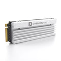 Dash Pro 8TB NVMe PCIe SSD with Heatsink, appropriate with  PS5 Internal M.2 Slot