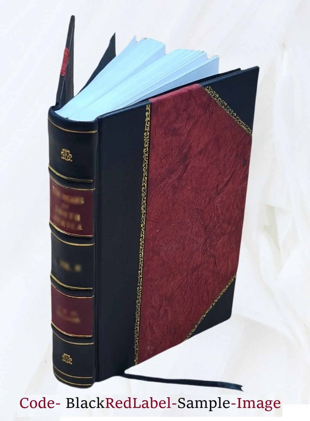 L'Amico Cattolico Volume v.5 1841 [Leather Bound]