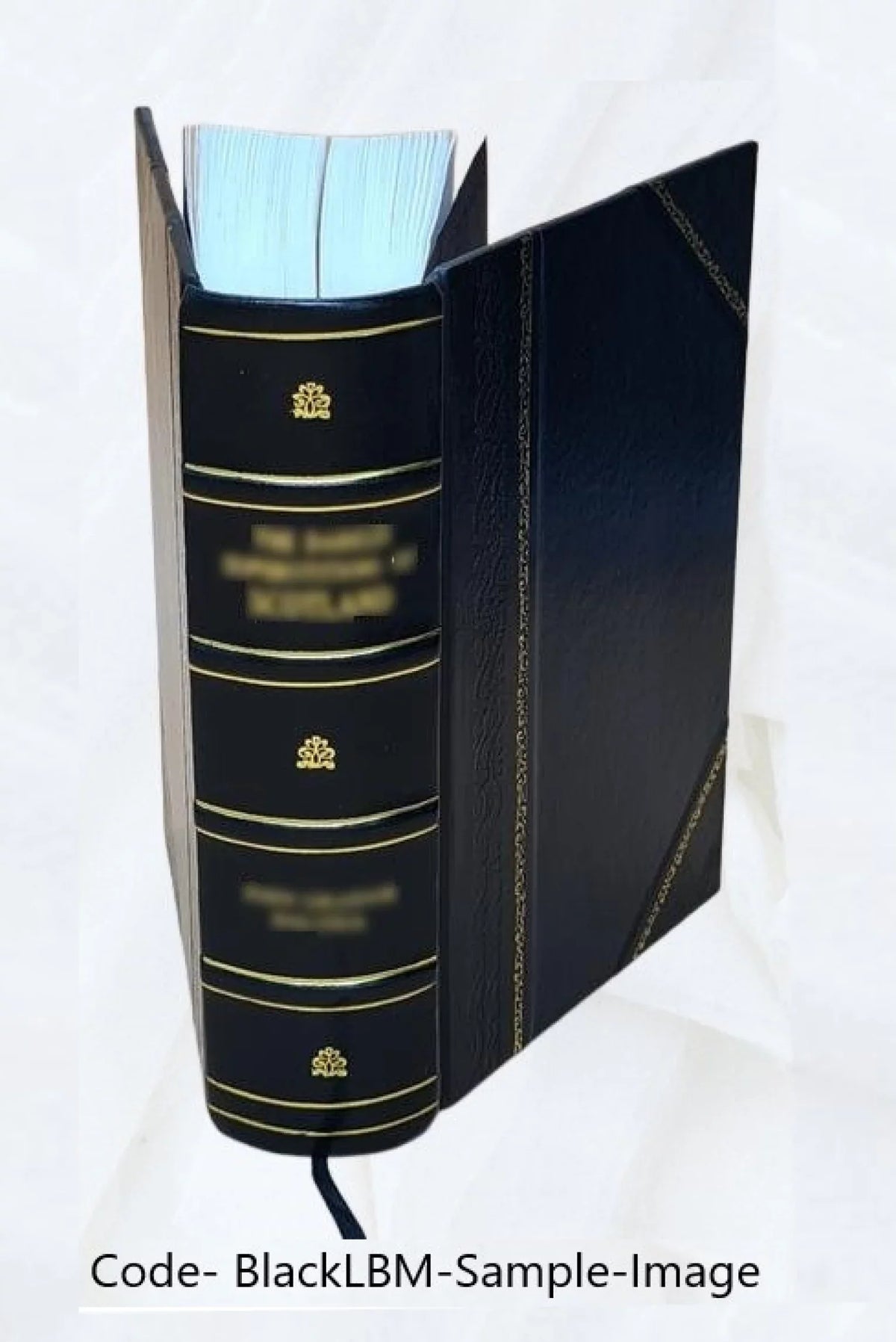 1915 [Leather Bound]. Hatcher. D.; a biography by his son Eldridge B. H. L. D. LL. D. Hatcher D. William E