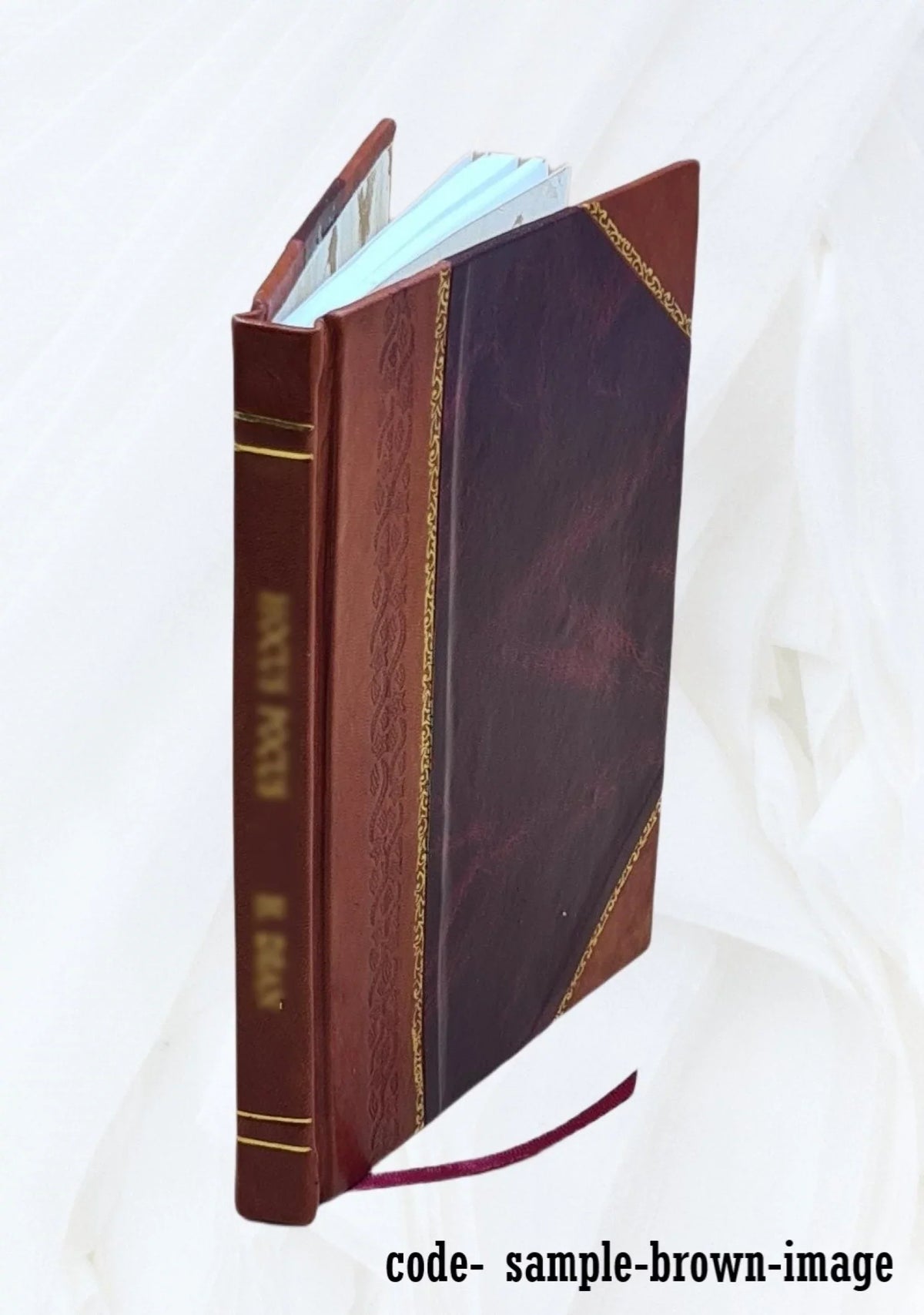 1900 [Leather Bound]. Designs of filter plants, January 1900
